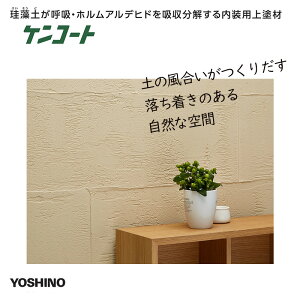 g΍pu ^CK[ PR[gv10kg/ vX^[ hǍ  ]yʂ肩 DIYh Nuhǎdグ VbNnEX΍ I΍ C Czh C