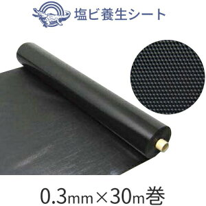 H {ށA{@ur{V[g 0.3mmv@y0.3mm×1m×30mz@ubN 1{