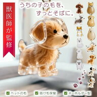 【20%オフクーポン配布中！】【獣医監修】犬 毛 収納 キーホルダー ペット 遺毛 ケース 犬の毛収納ボトル…