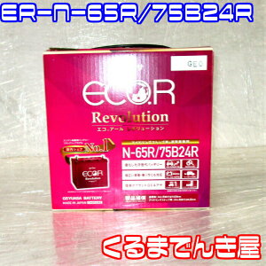 GS YUASAGSiW[GXEATjobe[GREA[E{[VECO.R.RevolutionyER-N-65R/75B24RzVi