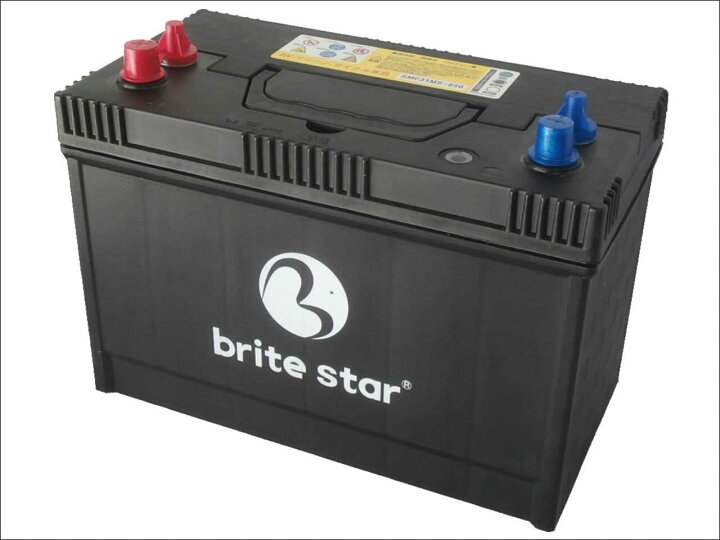 楽天市場】SMF31MS-850 Brite Star ブライトスター マリン用ディープ 