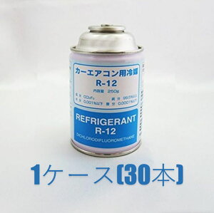 J[GARp} R-12(Y)250g xXgv N[[KX GARKX 1P[X 30{ 30