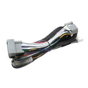 �ySS����G���g���[�Ń|�C���g5�{�z�r�[�g�\�j�b�N DSP-CT2 TOON X �V���[�Y��p�P�[�u��