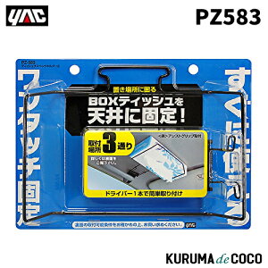 YAC ƒJbN PZ-583 eBbVTXyhz_[2