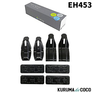 Terzo EH453 [tLA x[XLA Ԏʎtz_[Zbgyg^ XNXz