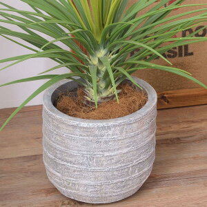 v^[ Aؔ 6p  _ Vv O[|bg A  lC Mtg v[g