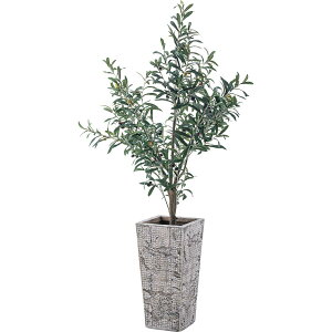 v^[ Aؔ 5p  _ Vv O[|bg A  lC Mtg v[g