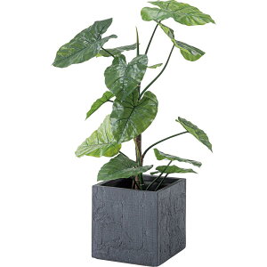 v^[ Aؔ 8p  _ Vv O[|bg A  lC Mtg v[g