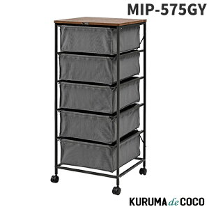 J `FXg5i MIP-575GY ĝLoX`FXg LX^[t