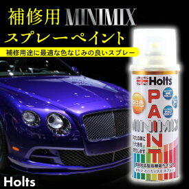 Holts MINIMIX ホルツ補修用スプレーペイントミニミックス