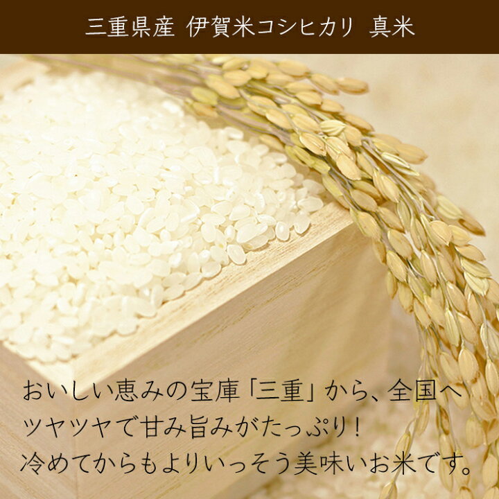 楽天市場】【送料無料】令和7年産 伊賀米コシヒカリ 10kg(5kg×2袋 