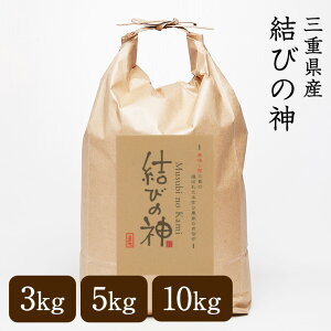 yzV ߘa7NY OdY т̐_ 3kg 5kg 10kg   3 5 7  Iׂ鐸ēx Vi _̏ ƒ뗿 OH Mtg v[g A j X|[