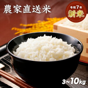 yzyߘa7NVāzV ߘa7NY _ƒ 3kg 5kg 10kg   3 5 7  Iׂ鐸ēx   x  ă}CX^[ Mtg v[g