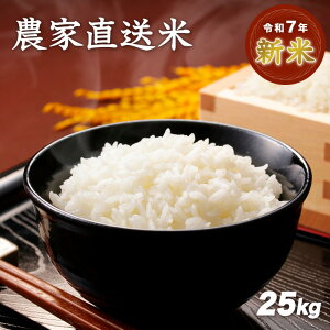 yzߘa7NY V _ƒāimj 25kg   3 5 7  Iׂ鐸ēx  x  ă}CX^[ Mtg v[g  V