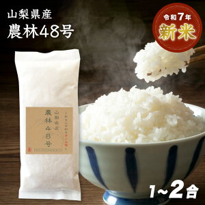 yzߘa7NY V RY _48 1(150g) 2i300gj  ̕  󏭕i p` 48    Iׂ鐸ēx v`Mtg v[g A j X