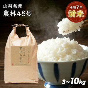 yzߘa7NY V RY _48 3kg 5kg 10kg  ̕  󏭕i p` 48   3 5 7  Iׂ鐸ēx i Mtg v[g 