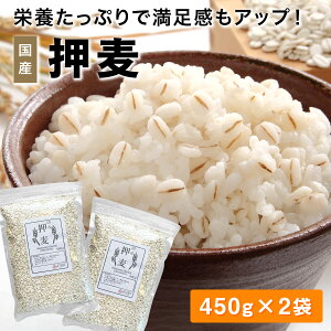 yz ܃că}CX^[I Yނ 900g 450x2 pbN Y 䌧Y _CGbg OJ H@ Y eN  AgVAj H̓ ފ A 