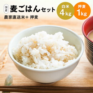 yz͂Zbg RVqJ 4kg + 1kg ܃că}CX^[I mY _ƒ RVqJ Ђ  Y Y  䌧Y  _CGbg OJ