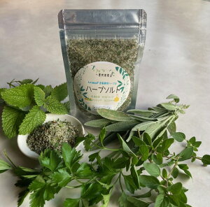 KURUMAYAn[u\g40g 590~@ʌ@N}n[uIWii@MBR@ƍ͔|n[u@ A@ hbVO@jG @`̉wC̉x