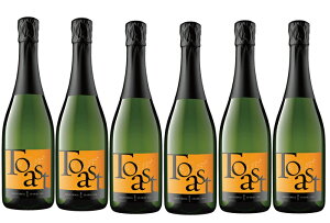 yzy6{ZbgzWEZ[Y@g[Xg ubgEXp[NO@JtHjA@750ml@Xp[NO@6{@Jam Cellars@Toast BRUT Sparkling@California@Vhl