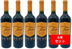 yzy6{Zbgzg\ JxlE\[Bj @ԃC@6{@750ml@Toso Cabernet Sauvignon@A[`@h[T@pXJEg\@WF[XETbNO92P