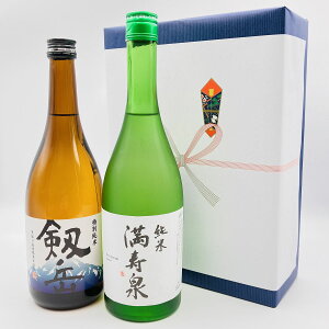 【送料無料】【箱・包装込価格】【日本酒ギフトセット】【北陸・富山地酒】銀盤 特別純米 剱岳(青)満寿泉 純米酒 720ml 2本 ぎんばん とくべつじゅんまい つるぎだけ ますい