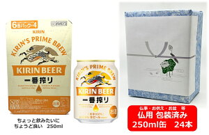 ypMtgρzyzy250ʁ@1P[X24{zԁ@Lԍ萶r[ 250ml @24{@ʁ@΂񂵂ڂ@Lr[@r[@KIRIN@Y@ʃr[@~Mtg@