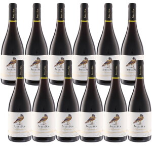 �y���������z�y12�{�Z�b�g�z�f���E�X�[�� �V���[ ���Z���o�@Aves del sur Syrah Reserva�@�r�[�j���E�f���E�y�h���K���@Vina del Pedregal SpA.�@12�{�@750ml�@�ԃ��C���@�t���{�f�B�@�V���[�@�`���@�Z��