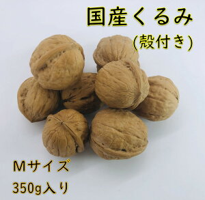 Y kt^Cv(MTCY)y350gz YҒ {Y 쌧Y ӓ  kt ibc iꕔn揜j