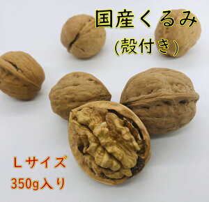 Y kt^Cv(LTCY)y350gz YҒ 쌧Y {Y  ibc (ꕔGAj