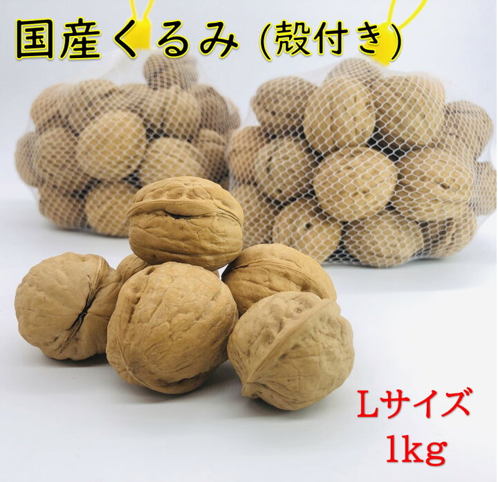 楽天市場 予約商品 バターの実 国産くるみ 殻付きタイプ Lサイズ 1kg 生産者直売 日本産 長野県産 クルミ 生くるみ ナッツ 送料無料 ハッピーナッツ倶楽部 楽天市場 予約商品 バターの実 国産くるみ 殻付きタイプ Lサイズ 1kg 生産者直売 日本産 長野県産 クルミ 生くるみ ナッツ 送料無料 ハッピーナッツ倶楽部