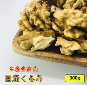 Y ^Cvy300gzYҒ Y {Y 쌧Y ނ N~  ibc   