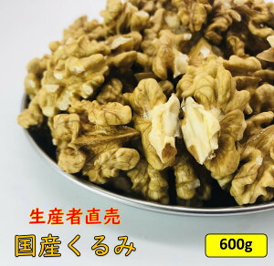 Y ^Cvy600gzYҒ Y {Y 쌧Y ނ N~  ibc ܂   