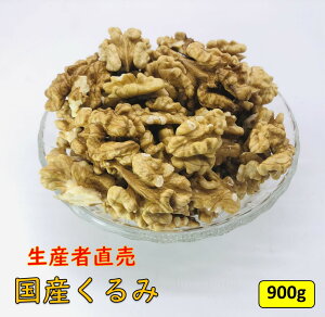 Y ^Cvy900gzYҒ Y {Y 쌧Y ނ N~  ibc p lC 