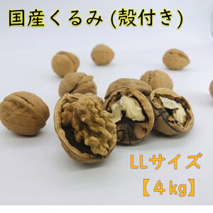 生 くるみ 国産の人気商品 通販 価格比較 価格 Com