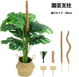 ＼お得なポイントキャンペーン中！！／【あす楽対応】DIY園芸支柱 64cm 2本セット モスポール 天然ココナッツ製 つる性植物 観葉植物 登山植物用サポート 農業用 園芸用