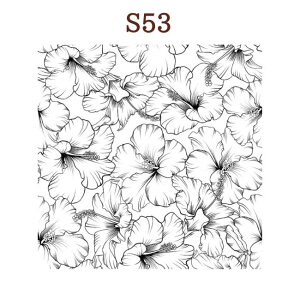 NAX^v wi  t t 莆 CO wiX^v  g XNbvubLO 蒠 J[h nhCh y[p[Ntg ͂ Ao m[g VR ANX^