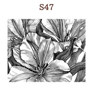 NAX^v wi  KN t o t 莆 CO wiX^v  g XNbvubLO 蒠 J[h nhCh y[p[Ntg ͂ Ao m[g VR AN