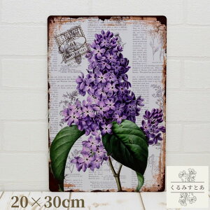 yzuLŔ CbN  n[u A g TCv[g K[fjO CeA   {^jJ EGJ{[h fUCv[g EFJ{[h u