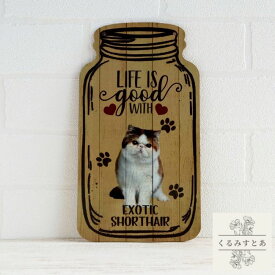 【送料無料】 木製看板 エキゾチックショートヘア 猫 ねこ ネコ ウェルカムボード サインプレート 動物 アニマル ガーデニング 玄関 ドアプレート ハンギングプレート プレート ウエルカムボード 壁飾り かわいい 可愛い おしゃれ