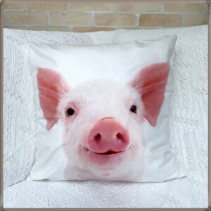 yzNbVJo[ 45×45cm p_ ETM VN} RA qcW u^   Aj} Jo[ CeA 킢  r  e  