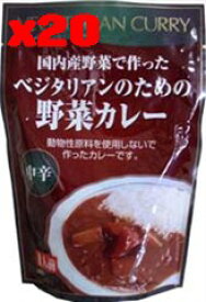 無添加レトルトカレー ベジタリアンのための野菜カレー200g×20個セット【沖縄・別送料】【桜井食品】【05P03Dec16】