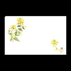 y  zJ~C\Y a}bg 3  e[u}bg G  ؂̉ ( 380×260mm ) No.266 / 100 @ĝ Xܗpi