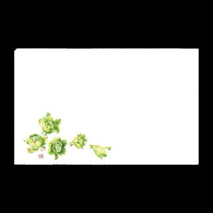 y  zJ~C\Y a}bg 3  e[u}bg G  ӂ̂Ƃ tLmgE ( 380×260mm ) No.459 / 100 ĝ Xܗpi