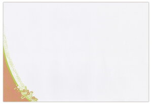 y  z单H a E^Cv ( ㎿ ) e[u}bg ( 260×380mm )  No.50 100 ĝ Xܗpi