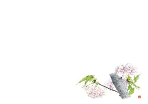 y  zJ~C\Y a}bg 3  e[u}bg G      ( 380×260mm ) No.520 / 100 @ĝ Xܗpi