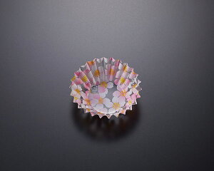 y ʔ̔ z   do ٓ ٓ Jbv \tgP[X 6F    100