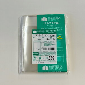 SݓX OPP bsO  }`tN e[vt   T|9|8 / No.539 100