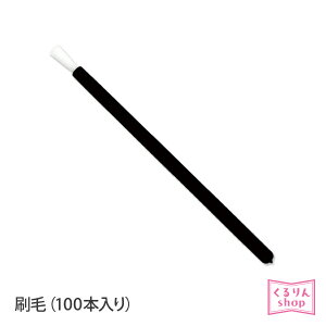 ܂GNXe сi100{jHOLISTIC AMETHOD [u O[  ܂уGNXe [։ AWFbV D10
