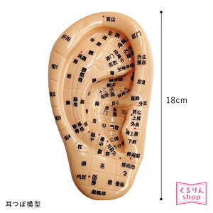  ͌^ ڃWG[ ̖͌^ c{͌^ ڃV[ 18cm ږ͌^ ڃWG[ AWFbV